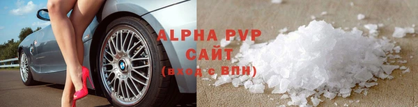 стафф Богданович