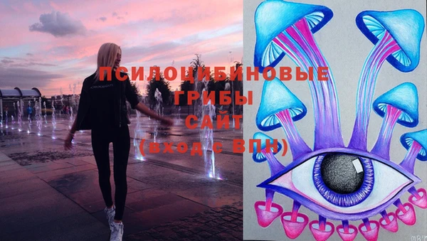 стафф Богданович