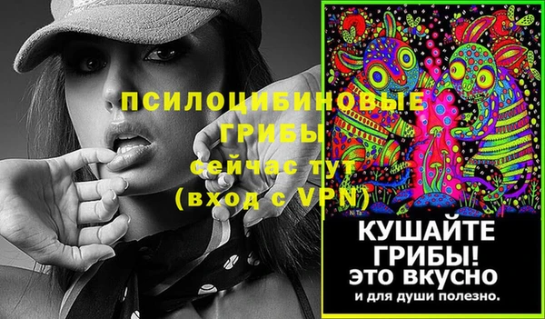 герыч Богородск
