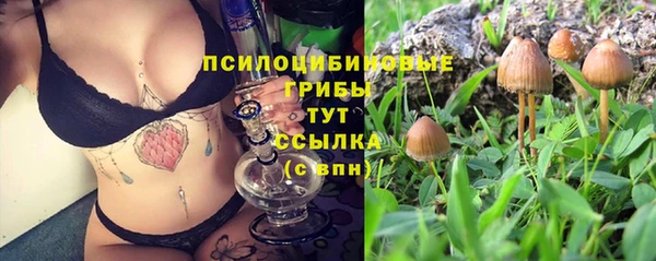 стафф Богданович