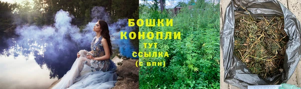 кокс Богородицк