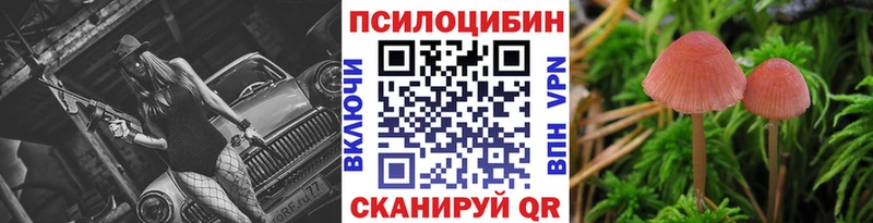 купить  цена  Невьянск  KRAKEN ссылка  Псилоцибиновые грибы ЛСД 
