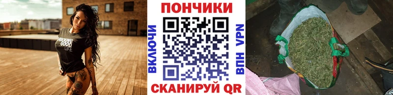 Канабис гибрид  где купить наркотик  Невьянск 
